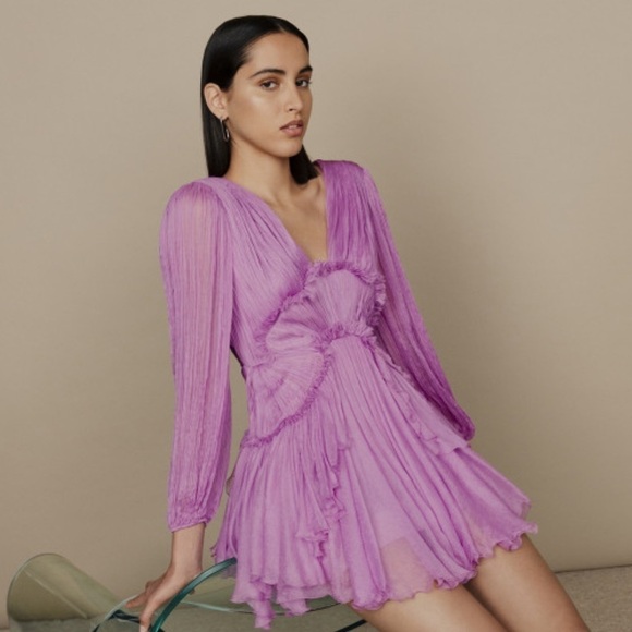 Maria Lucia Hohan Dresses & Skirts - NWT Maria Lucia Hohan Alara Ruffled Minidress